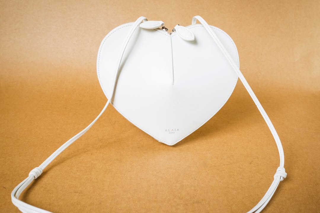 Alaia Handbag Strap Repair